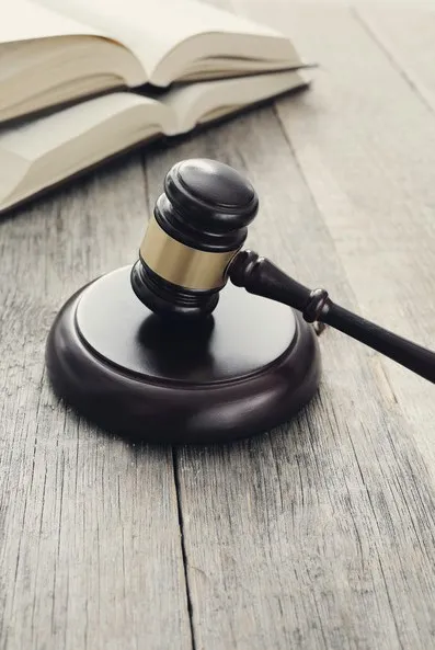 Government regulators and sustainability compliance